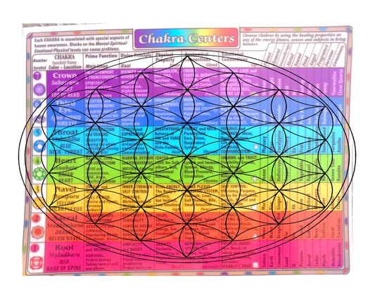 Chakra Info Chart - Name, Location, Prime Function, Divine Principle, Physical Properties, Anatomical and Emotional Connections