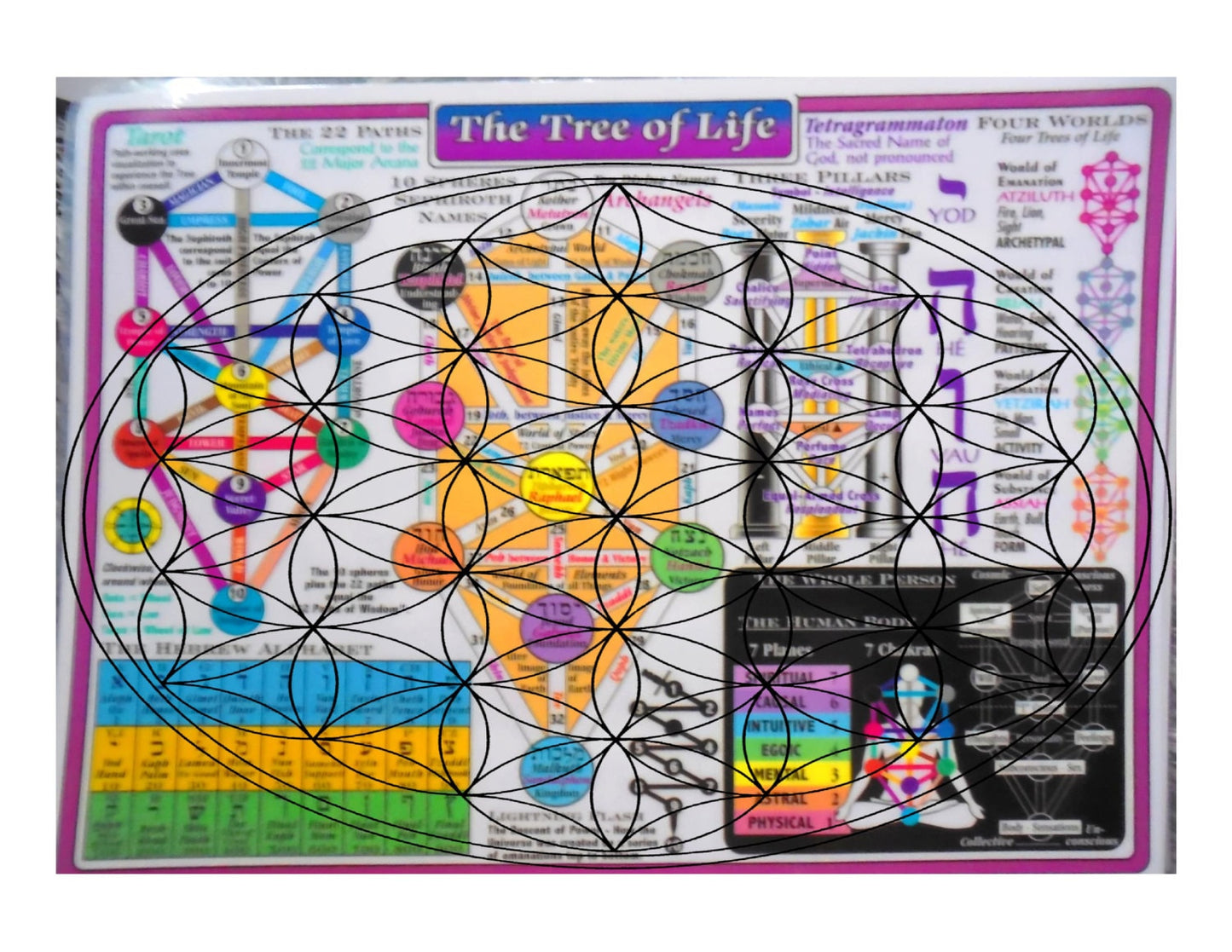 Kabbalah Info Chart - 10 Sephiroth Names, 10 Archangels, Tarot 22 Paths Major Arcana, Masonic 3 Pillars, Hebrew Alpha, 7 Chakras