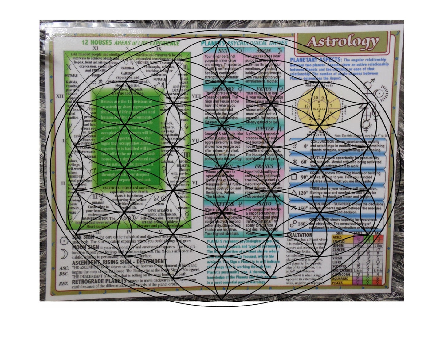 Astrology Info Chart - 12 Houses Area of life Experience, Signs, Ascend/Descending Sign, Retrograde Planets, Psychological